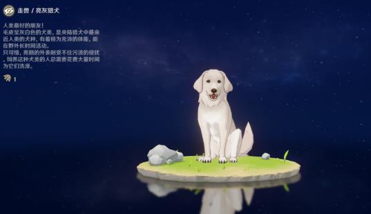 原神亮灰猎犬在哪 原神亮灰猎犬位置一览