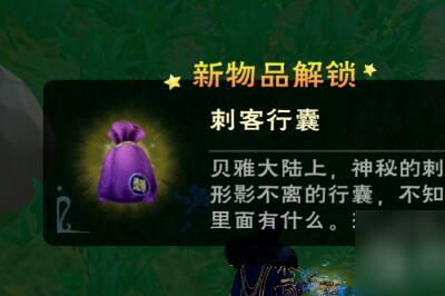 创造与魔法刺客行囊怎么获取 创造与魔法刺客行囊获取方法指南