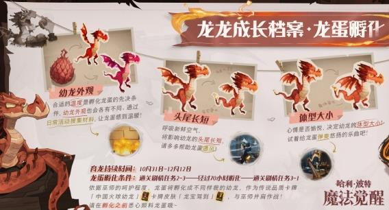 哈利波特魔法觉醒怎么孵化龙蛋 哈利波特魔法觉醒孵化龙蛋攻略
