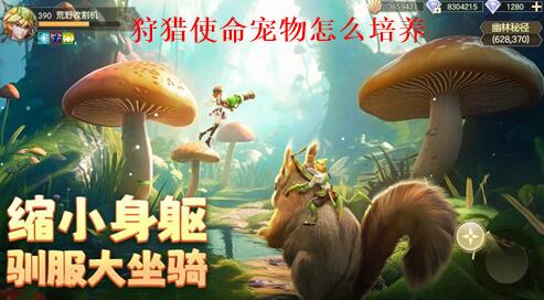 狩猎使命宠物怎么培养 狩猎使命培养宠物机制